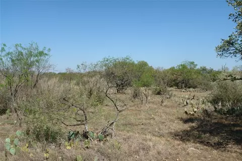 5003 Cr 192, Bangs, TX 76823 photo 8