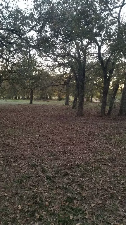 Tbd Lavender Road, Springtown, TX 76082