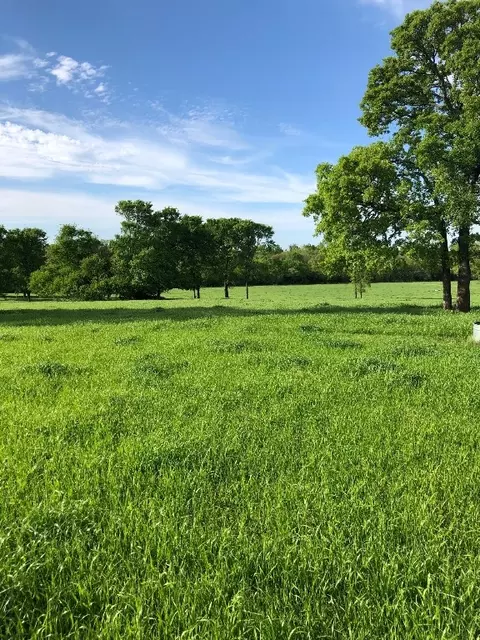 1740 Vz County Road 3420, Wills Point, TX 75169