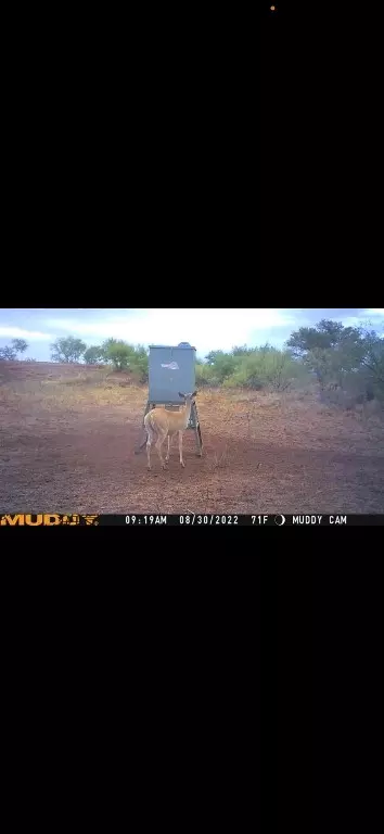 tbd Us 277, Bronte, TX 76933 photo 36