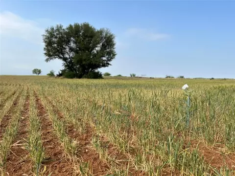 tbd Us 277, Bronte, TX 76933 photo 10