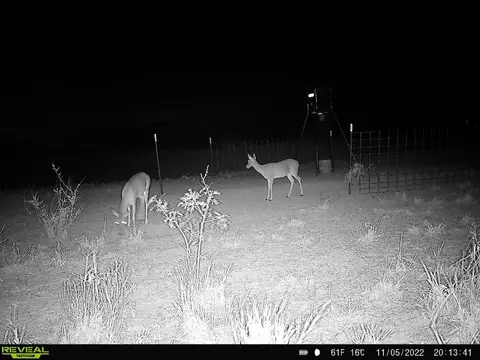 tbd Us 277, Bronte, TX 76933 photo 35
