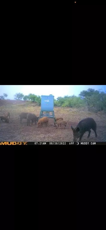 tbd Us 277, Bronte, TX 76933 photo 37