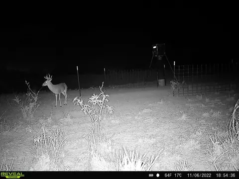 tbd Us 277, Bronte, TX 76933 photo 38