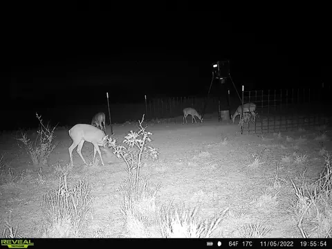 tbd Us 277, Bronte, TX 76933 photo 33