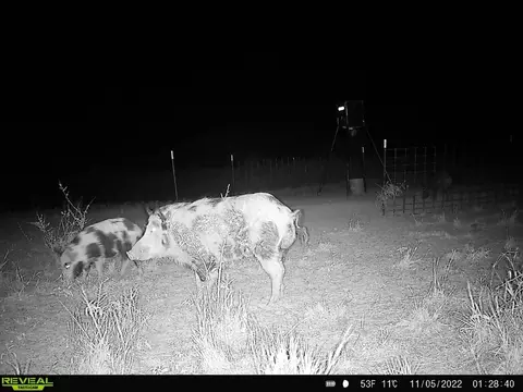 tbd Us 277, Bronte, TX 76933 photo 34