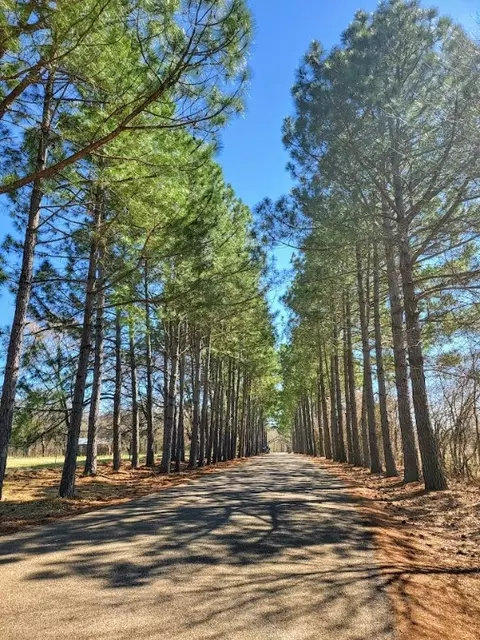 140 Shenandoah Drive, Streetman, TX 75859