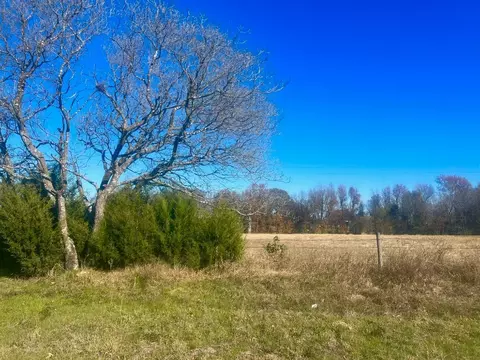Tbd Fm 3384, Pittsburg, TX 75686