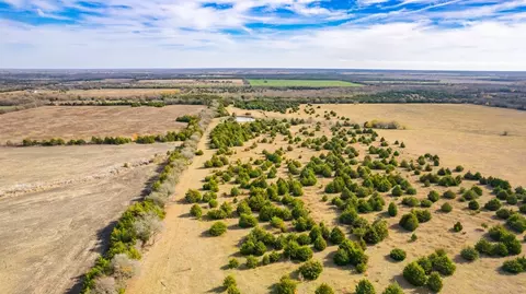 Tbd County Rd 3725, Bailey, TX 75413 photo 3
