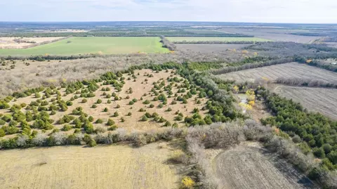 Tbd County Rd 3725, Bailey, TX 75413 photo 2