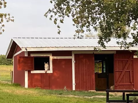 287 Bronco Ln, Springtown, TX 76082 photo 3