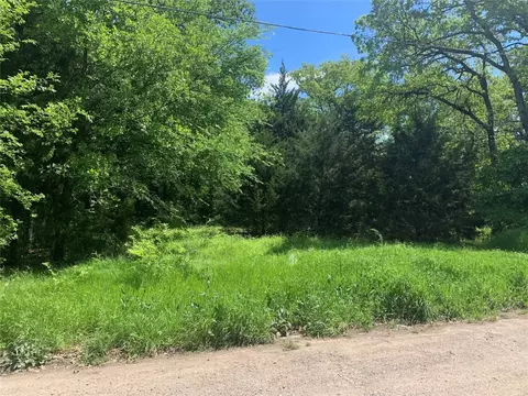 Tbd Raven Lot 38 Row, Quinlan, TX 75474