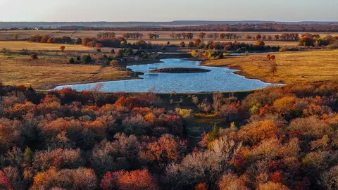 Tbd Fm 1288, Bowie, TX 76230