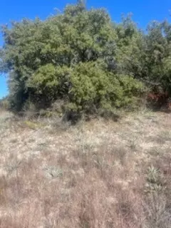 99999 Ballycastle Dr, Brownwood, TX 76801