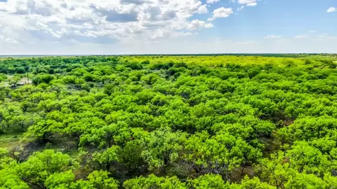 Tbd Fm 578 Road, Newcastle, TX 76372