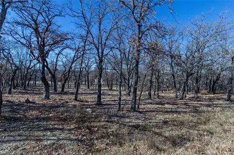 29 Ehret Lane, Runaway Bay, TX 76426