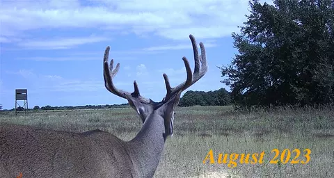00000 Tbd Cr 380, Rising Star, TX 76471