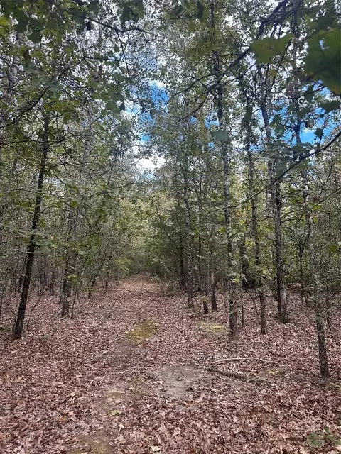 tbd Centerwood St, Blossom, TX 75416