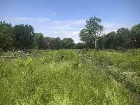 Tract 2 Tbd County Rd 2260 Road, Quinlan, TX 75474