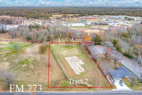 Tract 2 Tbd Farm To Market 279, Ben Wheeler, TX 75754
