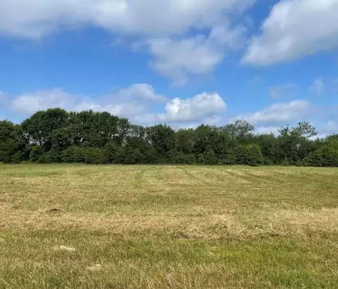 Tbd Lot 10 Vz County Road 3416, Wills Point, TX 75169