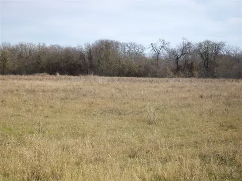 Tbd Bill Lewis Road, Forreston, TX 76041