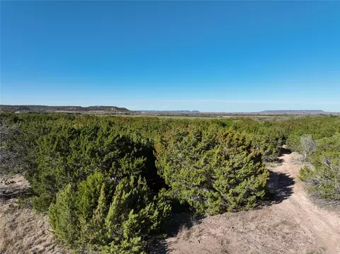 Tbd Lemons Gap Road, Tuscola, TX 79562