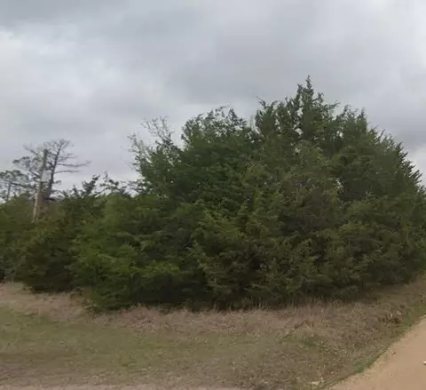 303 Green Briar Road, Gordonville, TX 76245