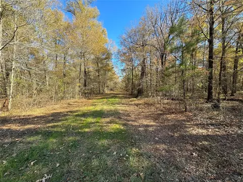 00 Pine Hill Rd, Elm Grove, LA 71051