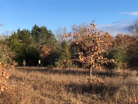 Tbd Pr 215, Fairfield, TX 75840
