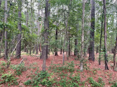 20312 County Road 4106 #LOT 13, Lindale, TX 75771