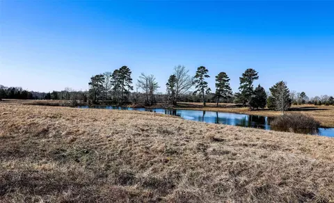 Tbd County Road 317, Henderson, TX 75652