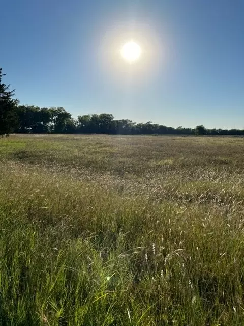 Tbd Fm 1377, Blue Ridge, TX 75424