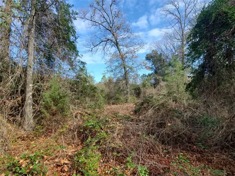 tbd Beech, Big Sandy, TX 75755 photo 8