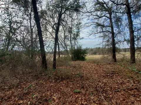 tbd Beech, Big Sandy, TX 75755 photo 24