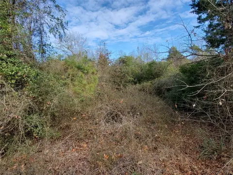 tbd Beech, Big Sandy, TX 75755 photo 16