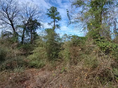tbd Beech, Big Sandy, TX 75755 photo 17