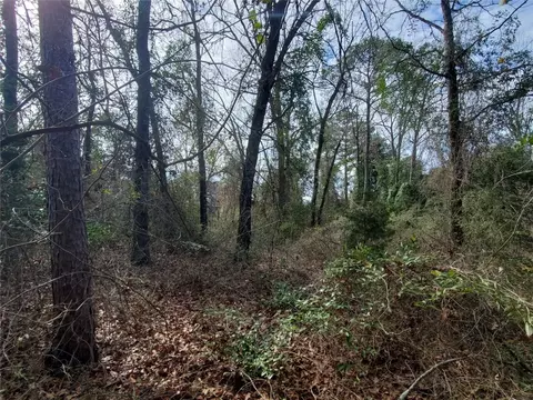 tbd Beech, Big Sandy, TX 75755 photo 14