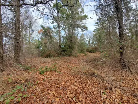 tbd Beech, Big Sandy, TX 75755 photo 22