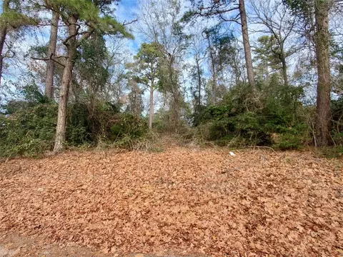 tbd Beech, Big Sandy, TX 75755 photo 2