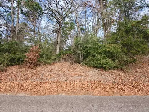 tbd Beech, Big Sandy, TX 75755 photo 28