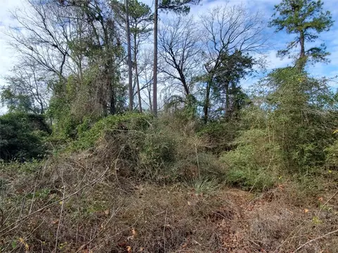 tbd Beech, Big Sandy, TX 75755 photo 18