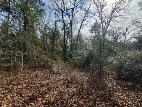 tbd Beech, Big Sandy, TX 75755 photo 12