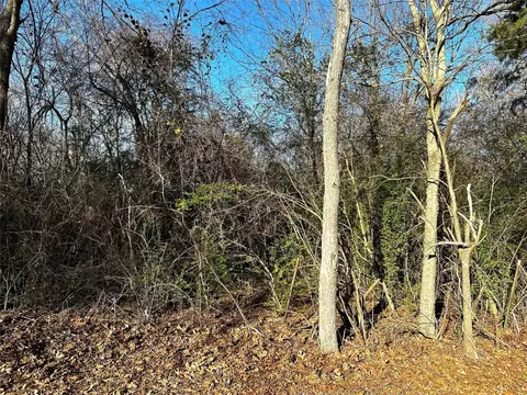 Tbd Moore, Blossom, TX 75416
