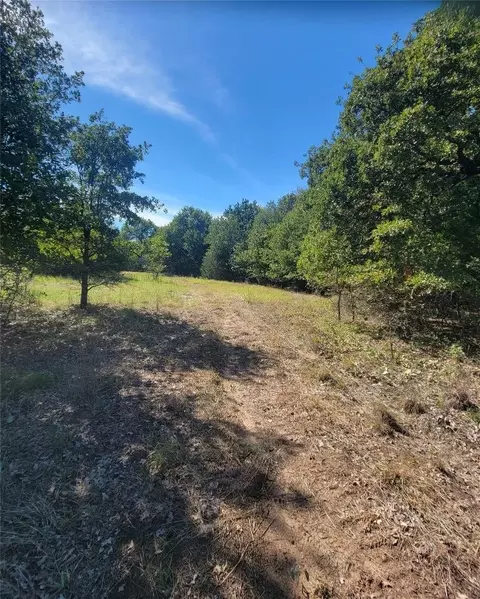Tbd Lot 5 Phillips Drive, Azle, TX 76020