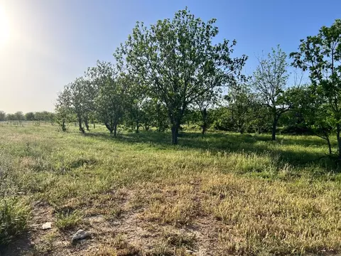 Tbd Cr 416, Comanche, TX 76442 photo 11
