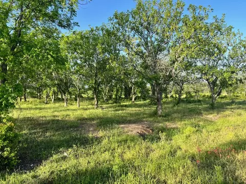 Tbd Cr 416, Comanche, TX 76442 photo 3