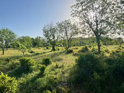 Tbd Cr 416, Comanche, TX 76442 photo 8