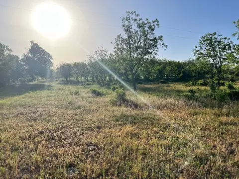 Tbd Cr 416, Comanche, TX 76442 photo 4