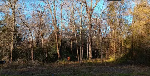 167 Barcelona St, Payne Springs, TX 75156